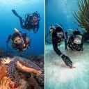 Open Water Diver & Dive Against Debris eLearning Bundle